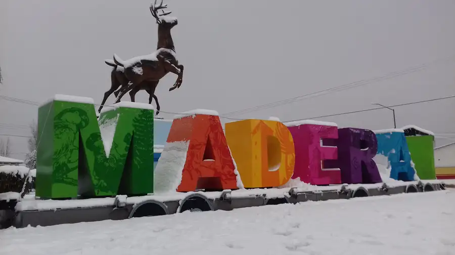 Madera Chihuahua