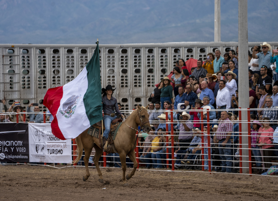 Bandera y caballo