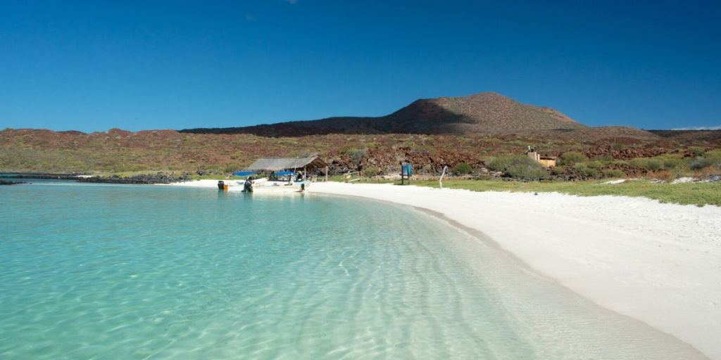 isla-coronado-favorita-en-loreto-bcs