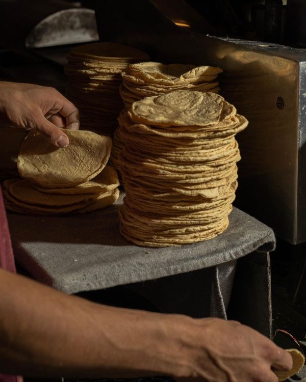 buenas tortillerías en cdmx