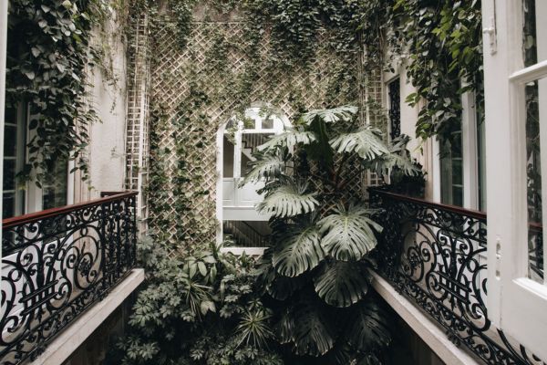 Dónde hospedarte en la CDMX