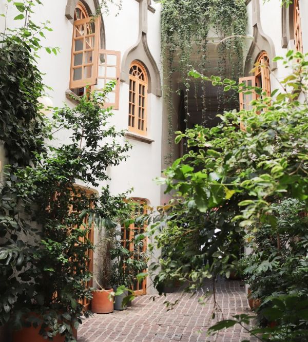 date romántico cdmx