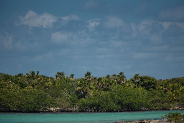 Yal-Ku Riviera Maya