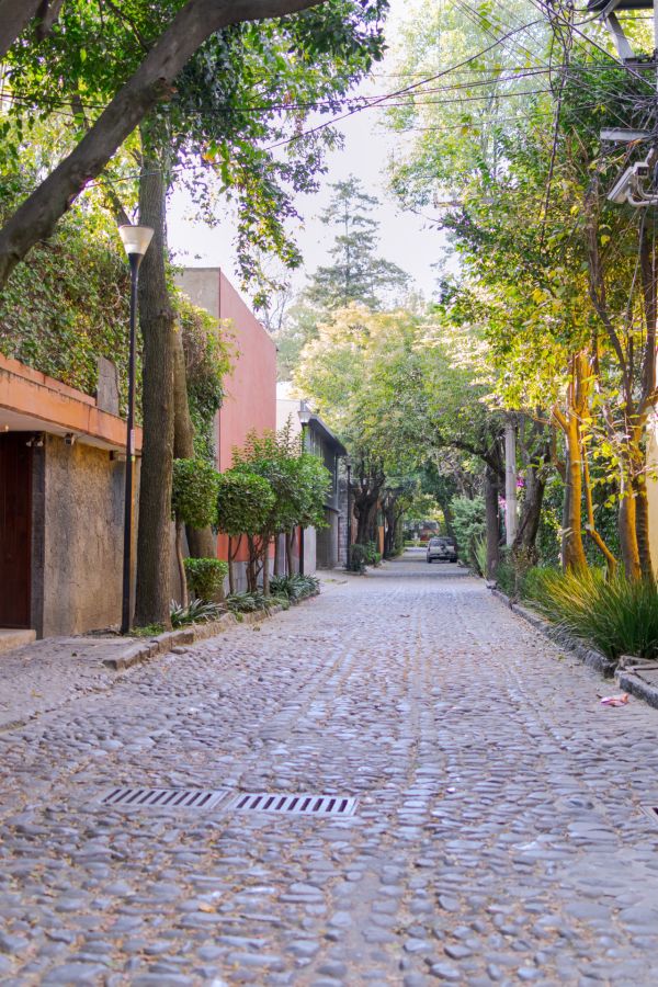 colonias tradicionales cdmx