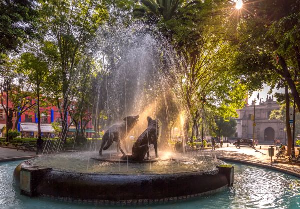 colonias tradicionales CDMX