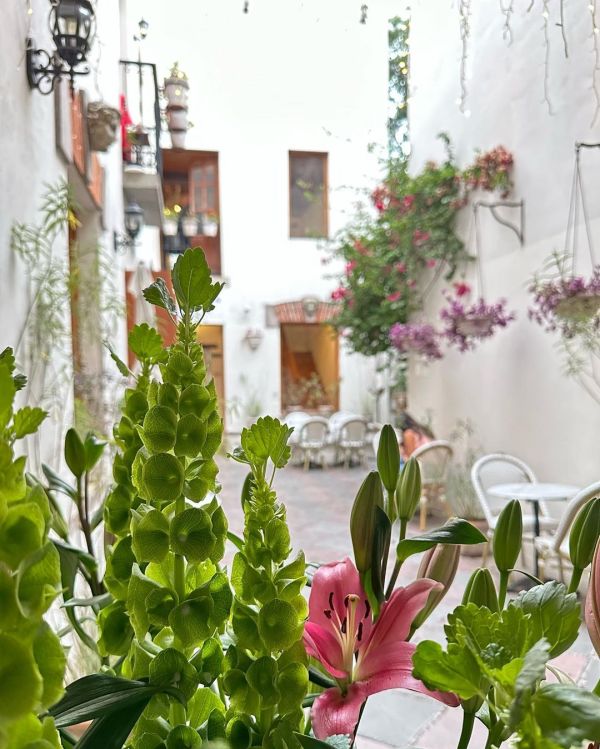 cafeterías en coyoacan