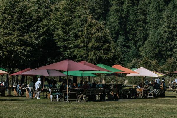 restaurantes en el Ajusco